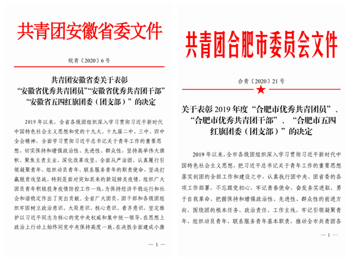 合肥职业技术学院多名师生、集体受共青团合肥省市委表彰(图1)