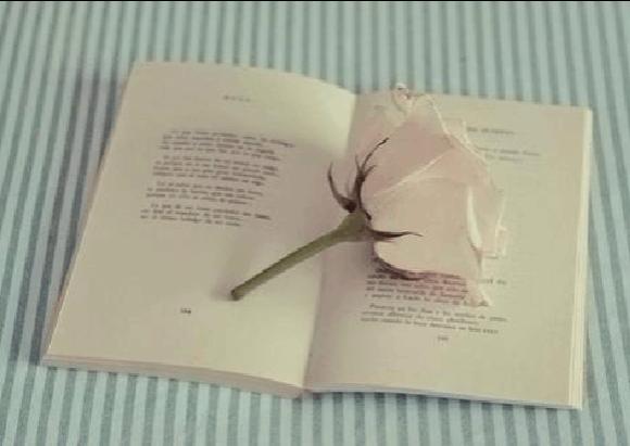 艺术类成人高考